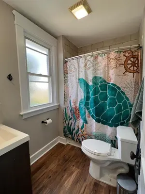 a bathroom with a turtle shower curtain and a toilet at Rolston 2, Two Bedroom near Xavier Downtown in Bellevue