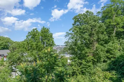 a group of trees with a city in the background at Amazing Downtown Views - 3 Minutes to Downtown! in Cincinnati