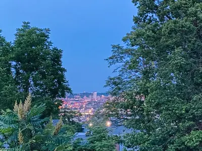 a view of a city from between two trees at Amazing Downtown Views - 3 Minutes to Downtown! in Cincinnati