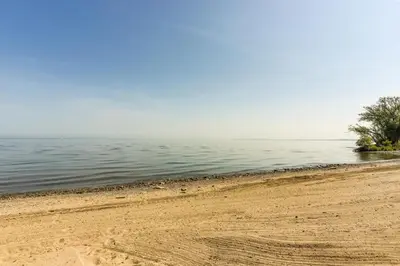 a beach with a tree and the water at Dog-Friendly Port Clinton Home Walk to Lake Erie! in Port Clinton