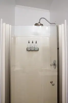 a bathroom with a shower with three bottles on a shelf at Maple Retreat with Big Pool in Dundee