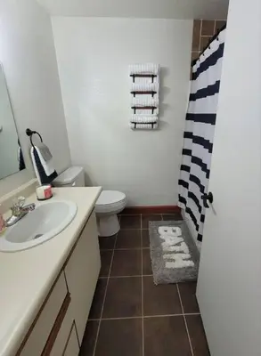 a bathroom with a sink and a toilet at Sunnie Days condo in Oak Harbor on Lake Erie! in Sand Beach