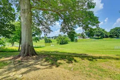 a tree in the middle of a field at Serene Dry Ridge Vacation Rental with Nearby Fishing in Dry Ridge