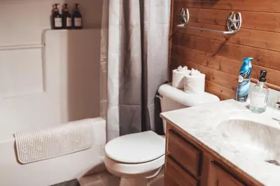 a bathroom with a toilet and a sink and a shower at Patriot Cottage at American Heartland Cabins in Rockbridge