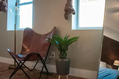 a chair and a plant in a room with a mirror at Huge Parkside Retreat - Private Roof Decks in Cincinnati