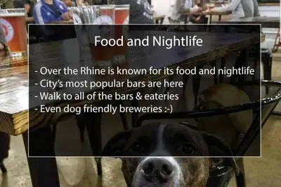 a picture of a dog with a sign on its head at Spacious Home Walk to Everything and FREE Parking in Cincinnati