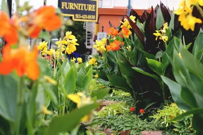 a display of colorful flowers in a garden at Over the Rhine Luxury MicroSuite On Findlay Market in Cincinnati