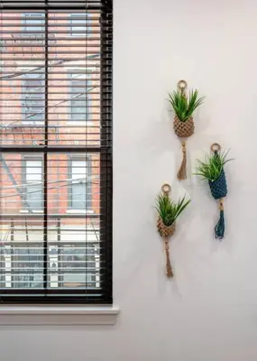 two pineapple plants on a wall next to a window at WALK TO ALL in Over The Rhine Cincinnati in Cincinnati
