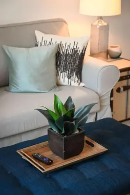 a tray with a plant on a table in front of a couch at Adorable MtAdams 2BR near it all in Cincinnati