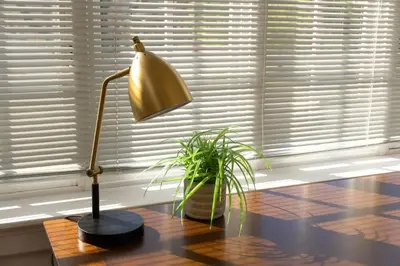 a lamp on a table next to a window with a plant at Hyde Park Comfort with Office Near Everything in Cincinnati