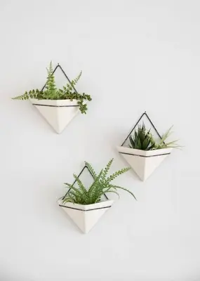 four plants in white pots hanging on a wall at Hyde Park Comfort with Office Near Everything in Cincinnati
