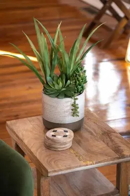 a potted plant sitting on top of a wooden table at Spacious Retreat w Private Roof Deck Walkable to ALL in Cincinnati