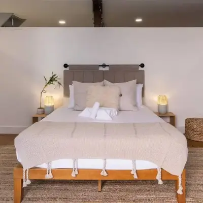 Deluxe 3BR Loft Walkable to Everything Downtown
