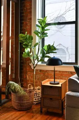 a living room with a plant in a window at Stunning Loft in the heart of OTR in Cincinnati