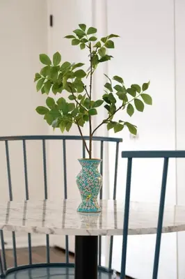 a vase sitting on a table with a plant in it at Spacious Studio Central Locale in Cincinnati