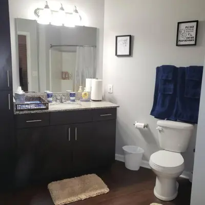 a bathroom with a toilet and a sink with a blue towel at Stylish and Spacious, close to the Hospital. in Fort Wayne