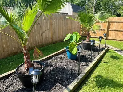 a row of palm trees in a garden at Kikis Tikis! Fun Themed Home in Vermilion