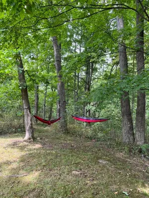 two red hammocks hanging from trees in the woods at Athens and Albany's Hillside Haven in Albany