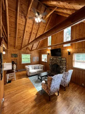 a living room with a couch and a fireplace at Athens and Albany's Hillside Haven in Albany