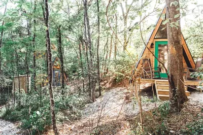 a cabin in the woods with a tree at The Green Glamping Getaway in Rockbridge