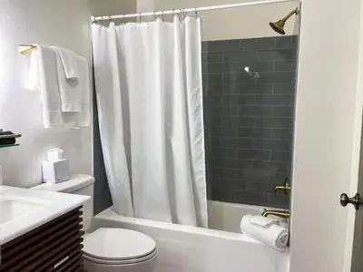 a bathroom with a shower curtain and a toilet at The Baker The Archive Lofts in Marion