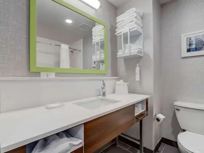a bathroom with a sink and a mirror at Hampton Inn & Suites Cincinnati Midtown Rookwood in Cincinnati