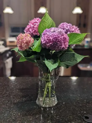 a vase filled with purple flowers on a table at The Vistula Rose B & B in Toledo
