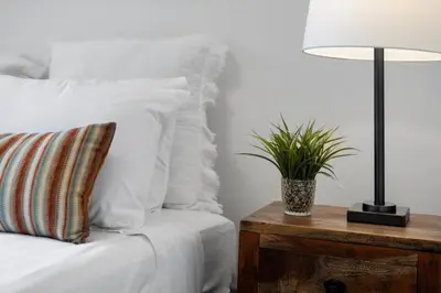 a bed with a lamp and a plant on a table at Cozy 2.5BR near Zoo - Hospitals - UC - Free Parking in Cincinnati