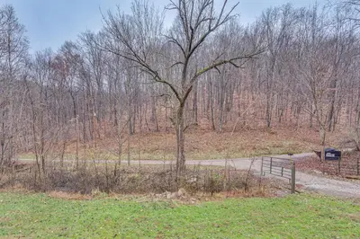 a tree in a field next to a path at Pet-Friendly Home about 10 Mi to Hocking Hills! in South Bloomingville