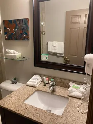a bathroom with a sink and a mirror and a toilet at Ashley Quarters Hotel Airport-Cincinnati in Florence