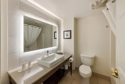 a bathroom with a sink and a toilet at Country Inn & Suites by Radisson, Findlay, OH in Findlay