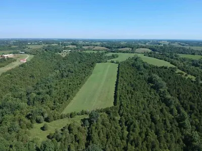 an aerial view of a green field and trees at 100 Acre Relaxing Retreat Near ARK - The Cottage in Williamstown