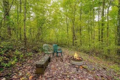 two chairs and a fire pit in the woods at Chickasaw in Logan