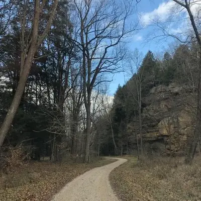 Bison Hollow Hideaway