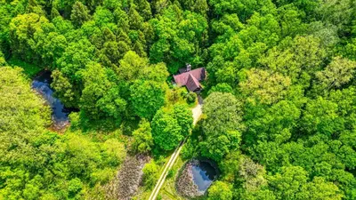 an aerial view of a house in the middle of a forest at Mercer House in Sugar Grove