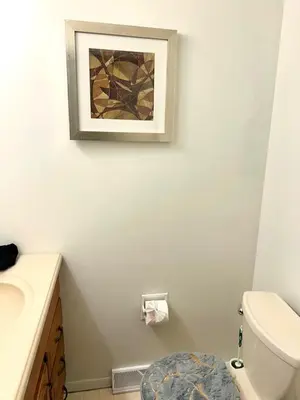 a bathroom with a toilet and a picture on the wall at Home in Hudson in Hudson
