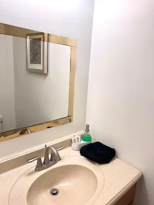 a bathroom sink with a mirror and a bottle of soap at Home in Hudson in Hudson