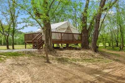 a yurt in the woods with trees at Red River Elusive Elk Glamping Tent 1 in Stanton
