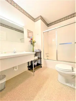 a bathroom with a toilet and a sink and a shower at Bittersweet Inn in Paulding