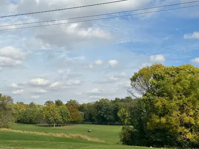 a green field with trees and a blue sky at Charming Spacious Get Away in Shelbyville