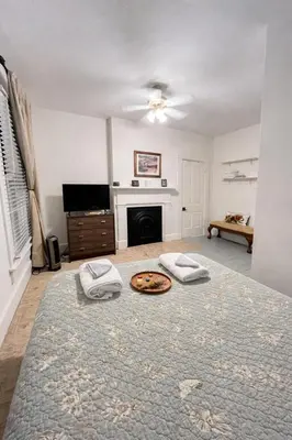a living room with a couch and a fireplace at Madison Manor II by the River Hot Tub Downtown in Madison