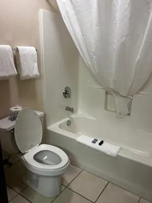 a bathroom with a toilet and a bath tub with a sink at Ameristay Inn & Suites in Waverly