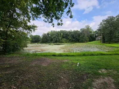 a field with a pond with a house and trees at Turkey Trot, Cabin Getaway on Lake w/ Hot Tub in Streetsboro