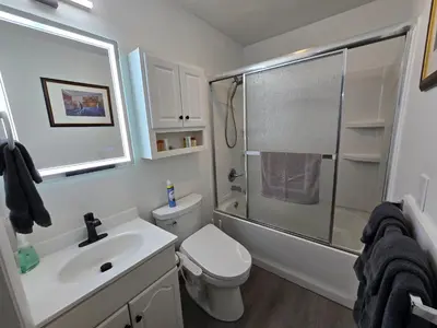 a bathroom with a toilet sink and a shower at Turkey Trot, Cabin Getaway on Lake w/ Hot Tub in Streetsboro