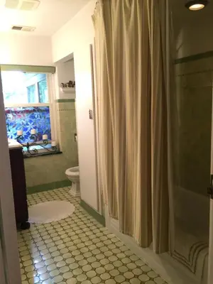 a bathroom with a shower curtain and a toilet at Mike & Allen's Place on the Park_2 in Columbus