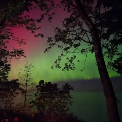 an aurora in the sky with trees in the foreground at Coastal Lake Erie Cottage with Amazing Water Views! in Euclid