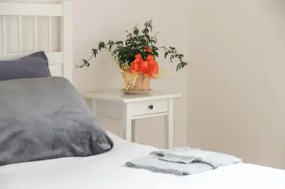 a plant sitting on a table next to a bed at Creation Resorts in Williamstown