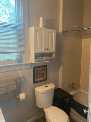 a bathroom with a white toilet and a sink at Walnut Hills Studio/ Private room in Cincinnati