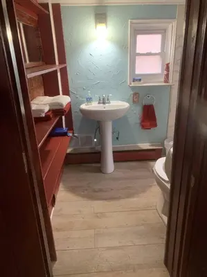 a bathroom with a sink and a toilet at Restored historic log cabin & deck on Lake Erie in Luna Pier