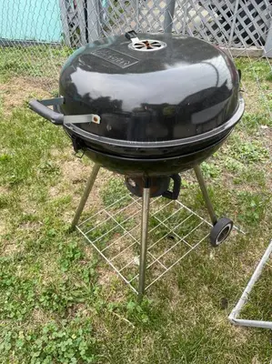a grill with snow on it sitting in the grass at Part of Mini-Mansion, private, 3 story Lake Erie views in Luna Pier